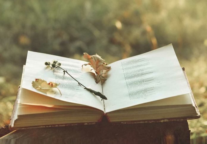 Poetry 696x484