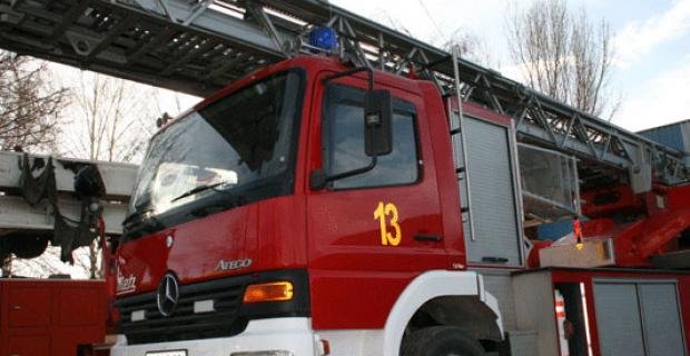 Zjarrfikese foto ilustrim