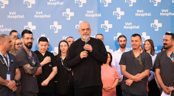 Vet 696x385
