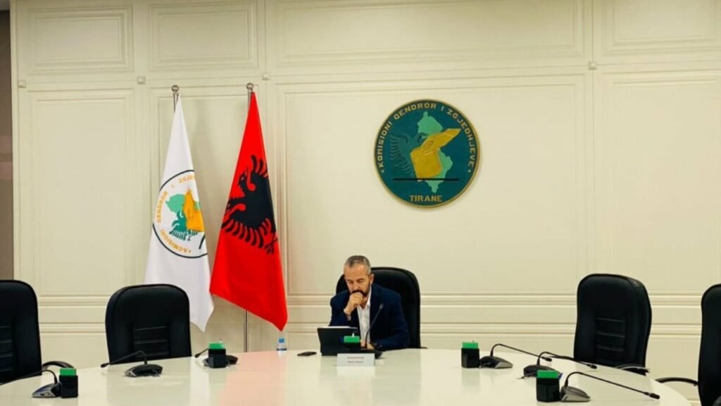 Kqz celibashi 1024x576