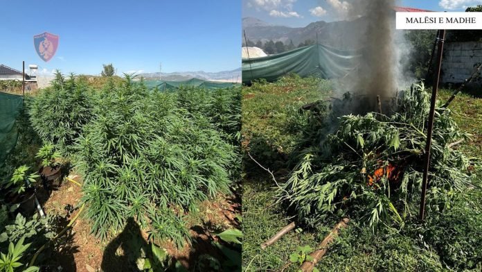 B30fb3cc d5c4 4c62 8a5f 69943e49d341 696x392