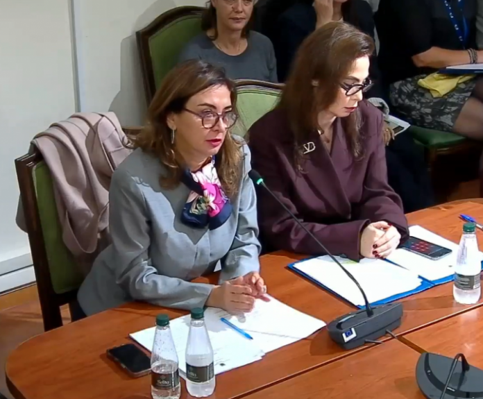 Screenshot 2025 10 28 114318 e1761653841707 696x575