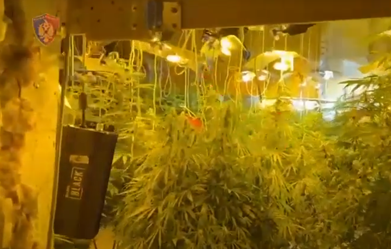 Screenshot 2025 11 15