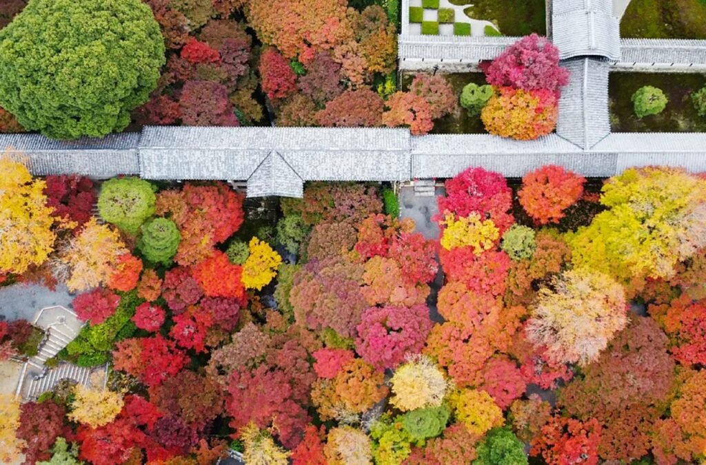 Screenshot 2 1 1024x675