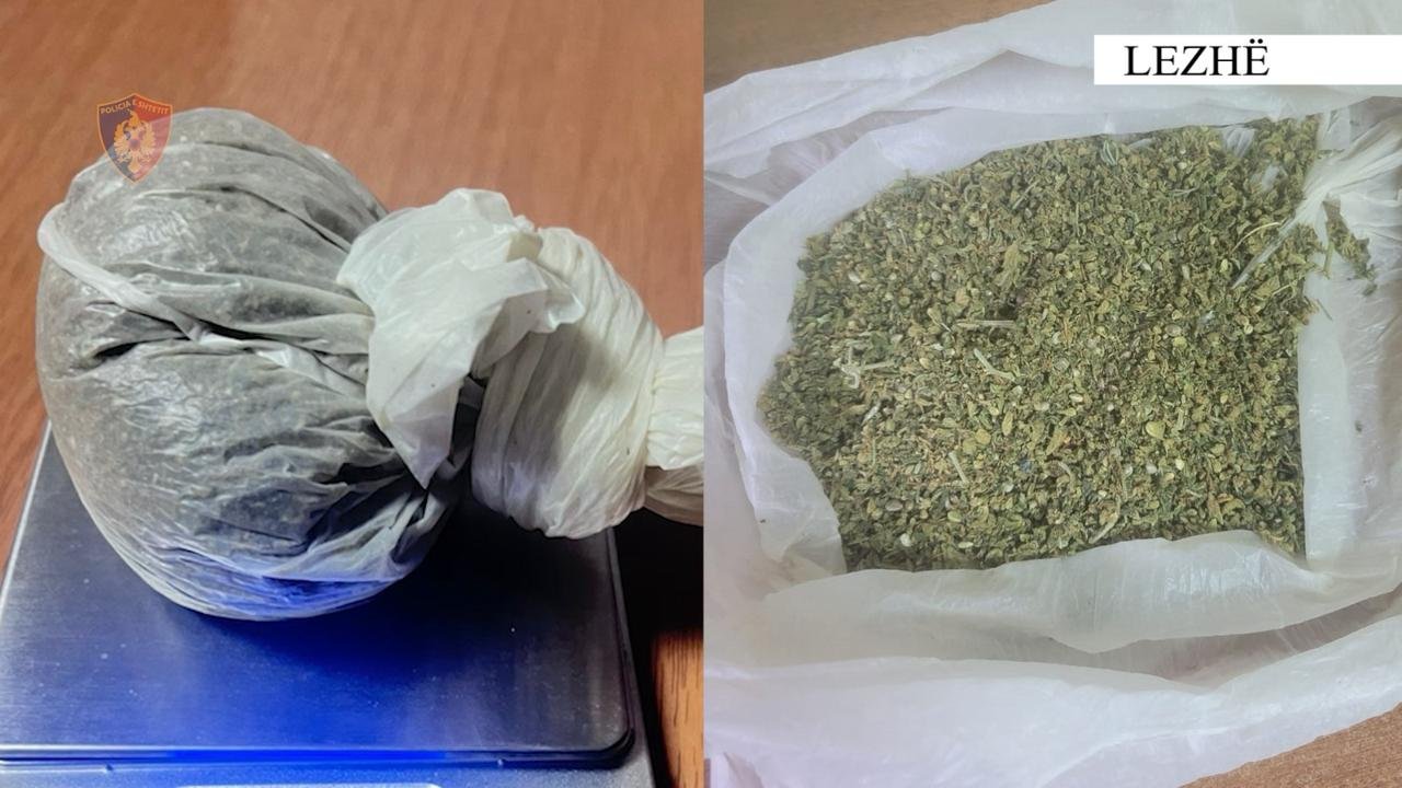 WhatsApp Image 2025 11 20 at 13.44.46