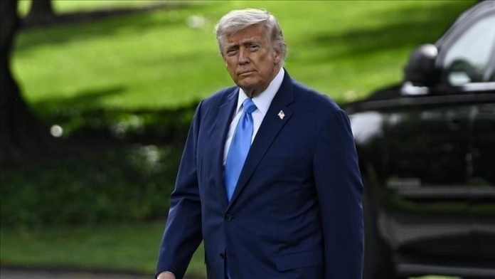 Thumbs b c 8a222a5a79fea146235cdf17b805375b 696x392