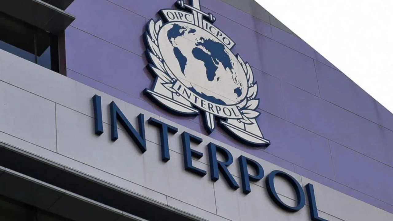 Interpol12 sd