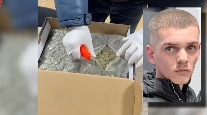 KanabisDomeniko Cibaku