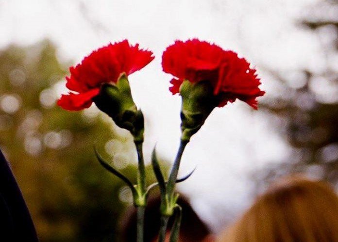 619071609 1440211547474502 6050945253705835747 n 696x941