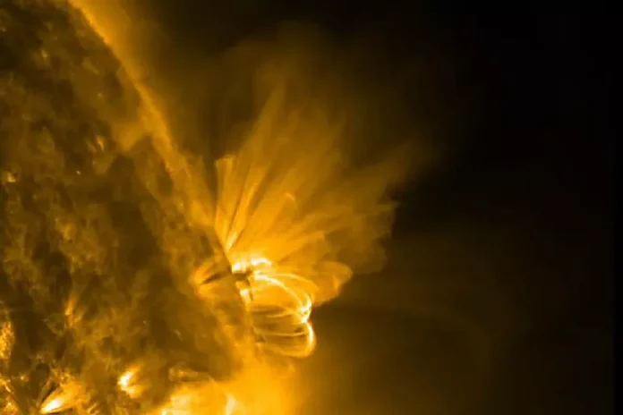 8e175e8e537973bc4229213aa01e500d 696x464