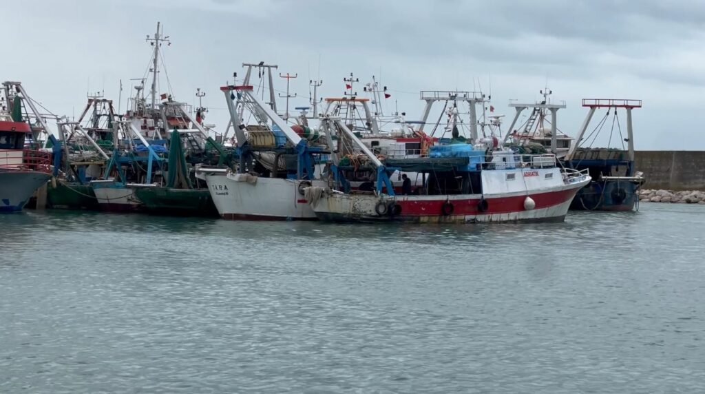 Anije peshkimi ne durreew 1024x572