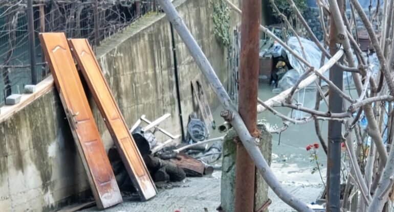 Berat ermbytje 770x415