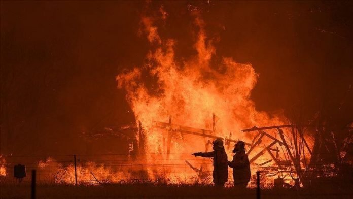 Thumbs b c 144a80747ff6b48ad353925d76110382 696x392