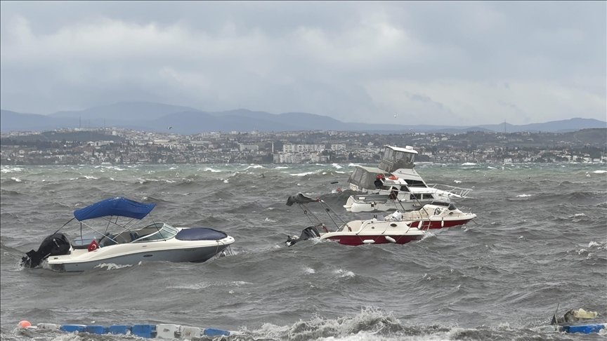 Thumbs b c 799a74fc0b3ce1b6bf0c6068e91e8a23