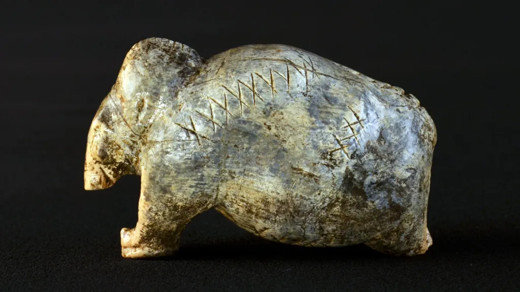 475473f0 1304 11f1 856c c723805bc628.jpg