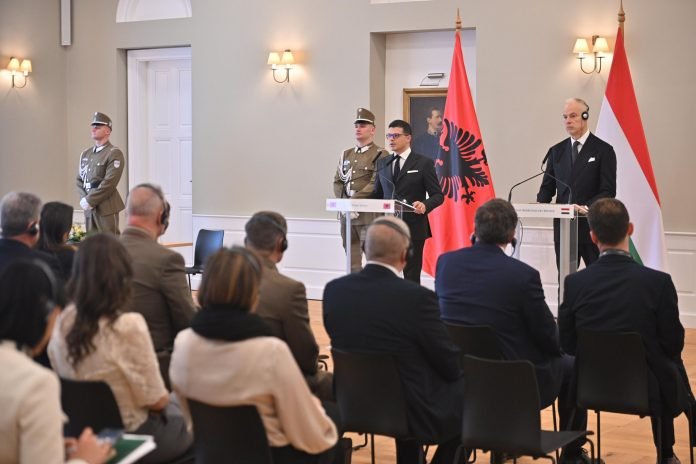 641515151 122201595746473314 5432239738550406695 n 696x464