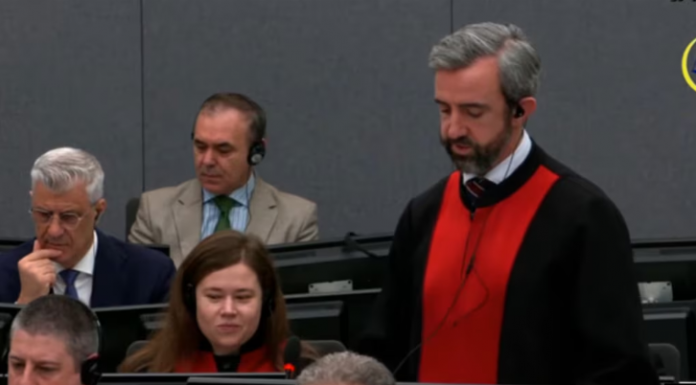 Screenshot 2026 02 13 101733 696x385