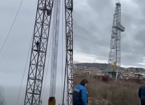 Tenton vetevrasje 620x450