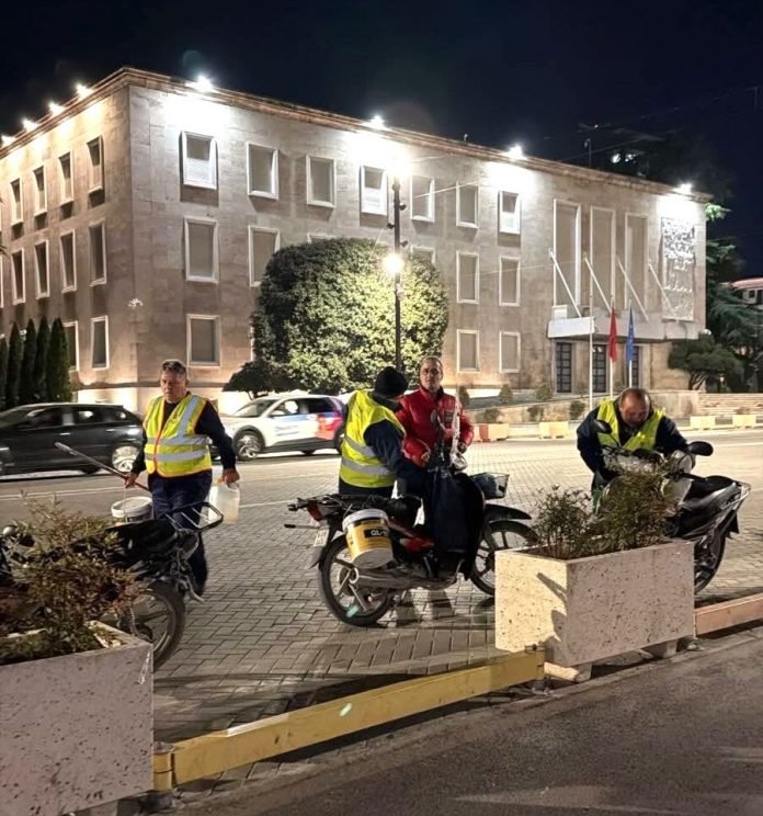 5393906a f333 4e55 a0fe c2d1fd0a8e69 696x744