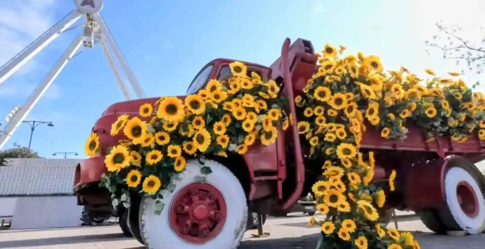 644833747 1401404455349150 8190243127287272720 n