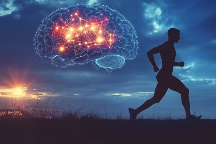 Exercise synaptic plasticity neurosciecnce 696x463