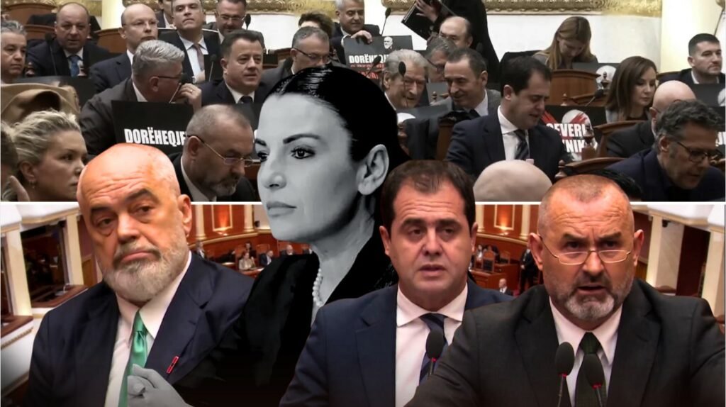 Seance plenare 1024x574