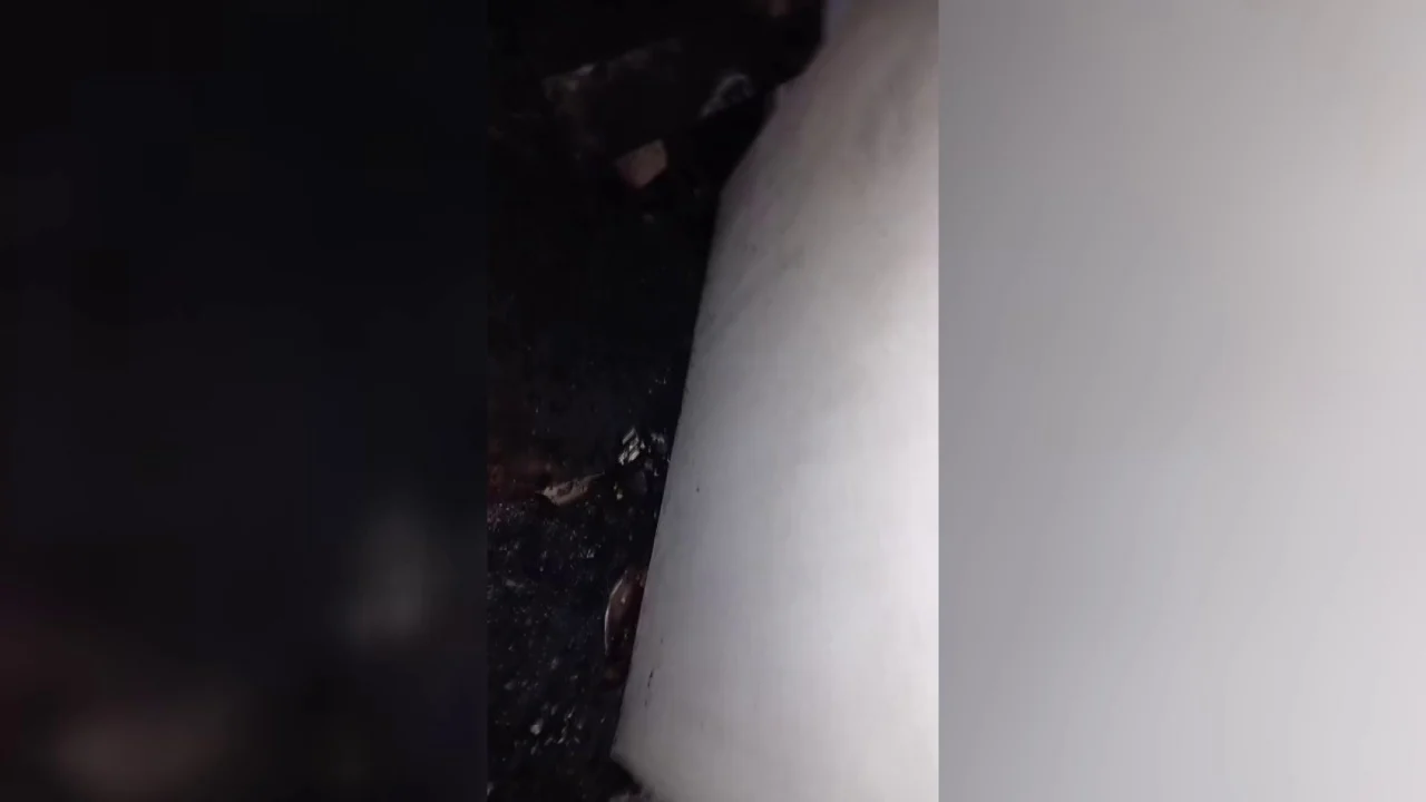 Vlcsnap 2026 03 13 09h43m20s229 sd