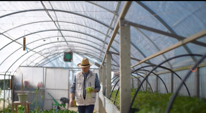 Screenshot 2026 04 13 092005 696x405