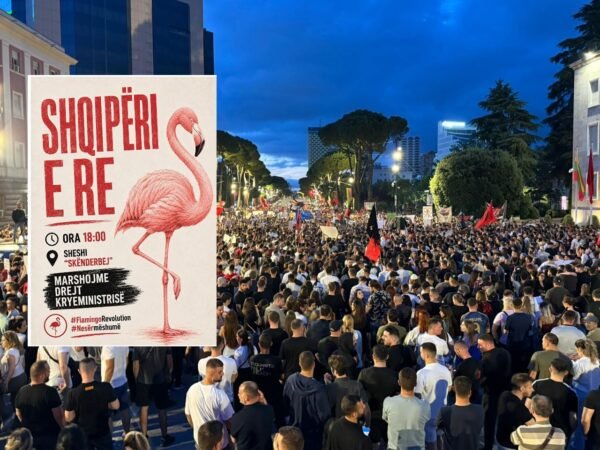 Protesta 5 600x450