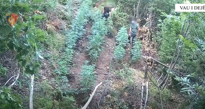 Screenshot 2026 06 24 130511 696x370