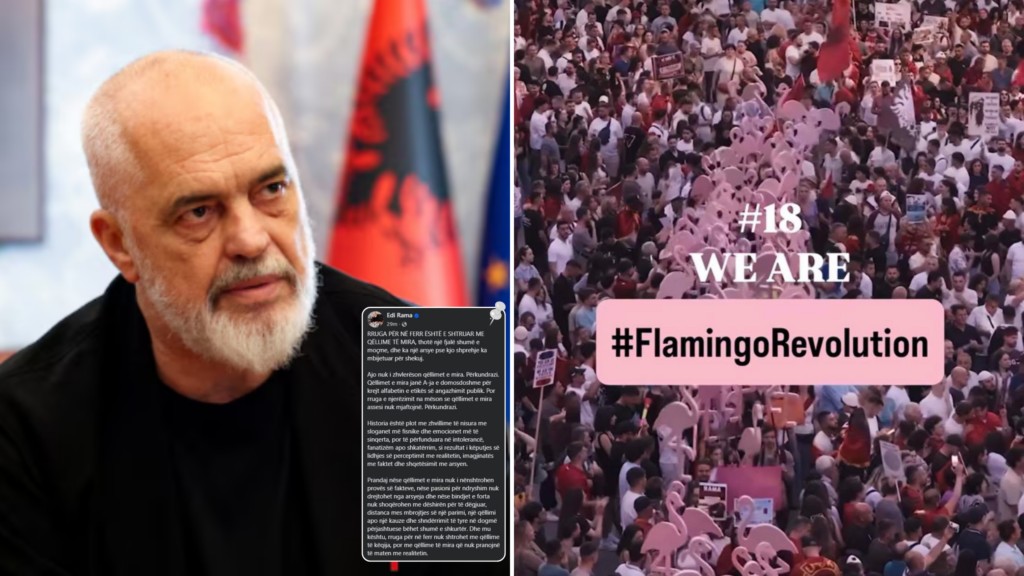 Rama protesta flamingo zvernec