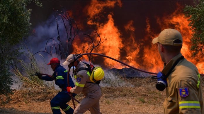 Fires 696x392