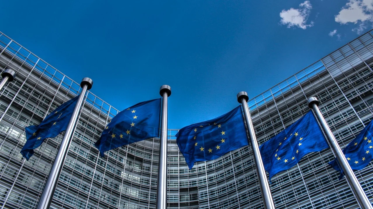 European Union Flags 2a sd