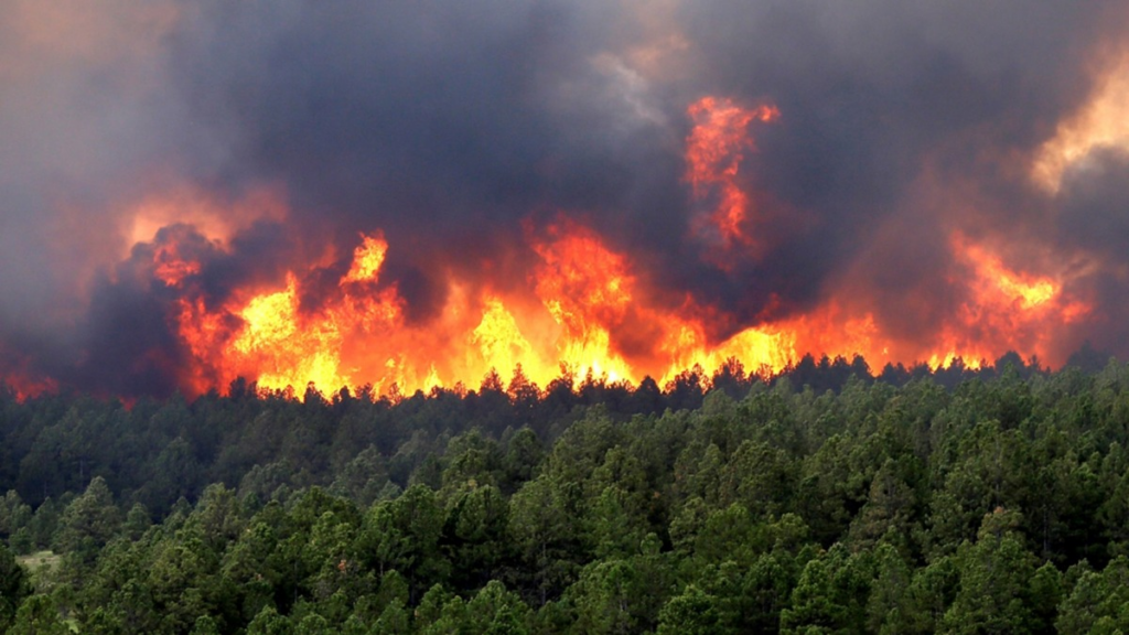 Image 124 1024x576