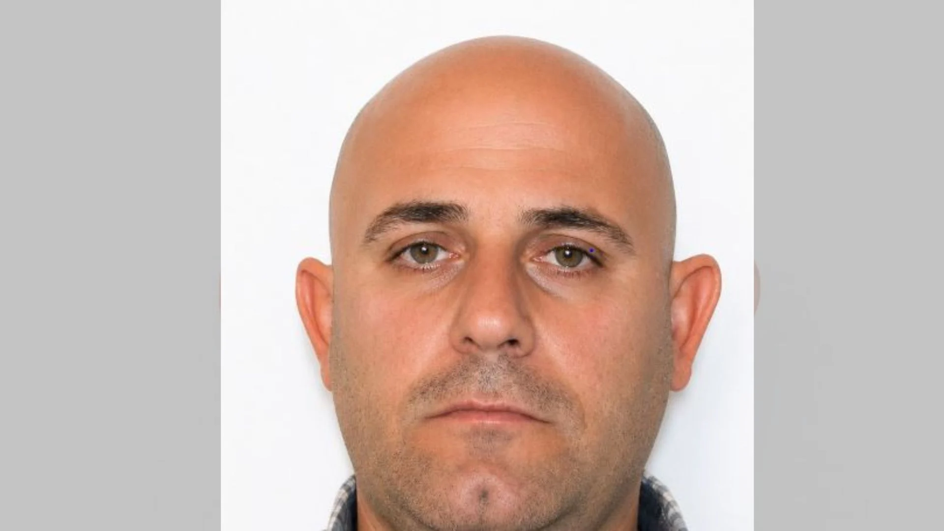 Ylli zalla