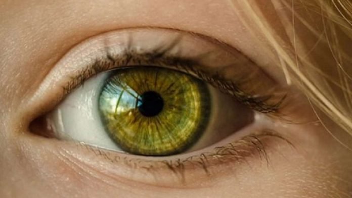 Retina
